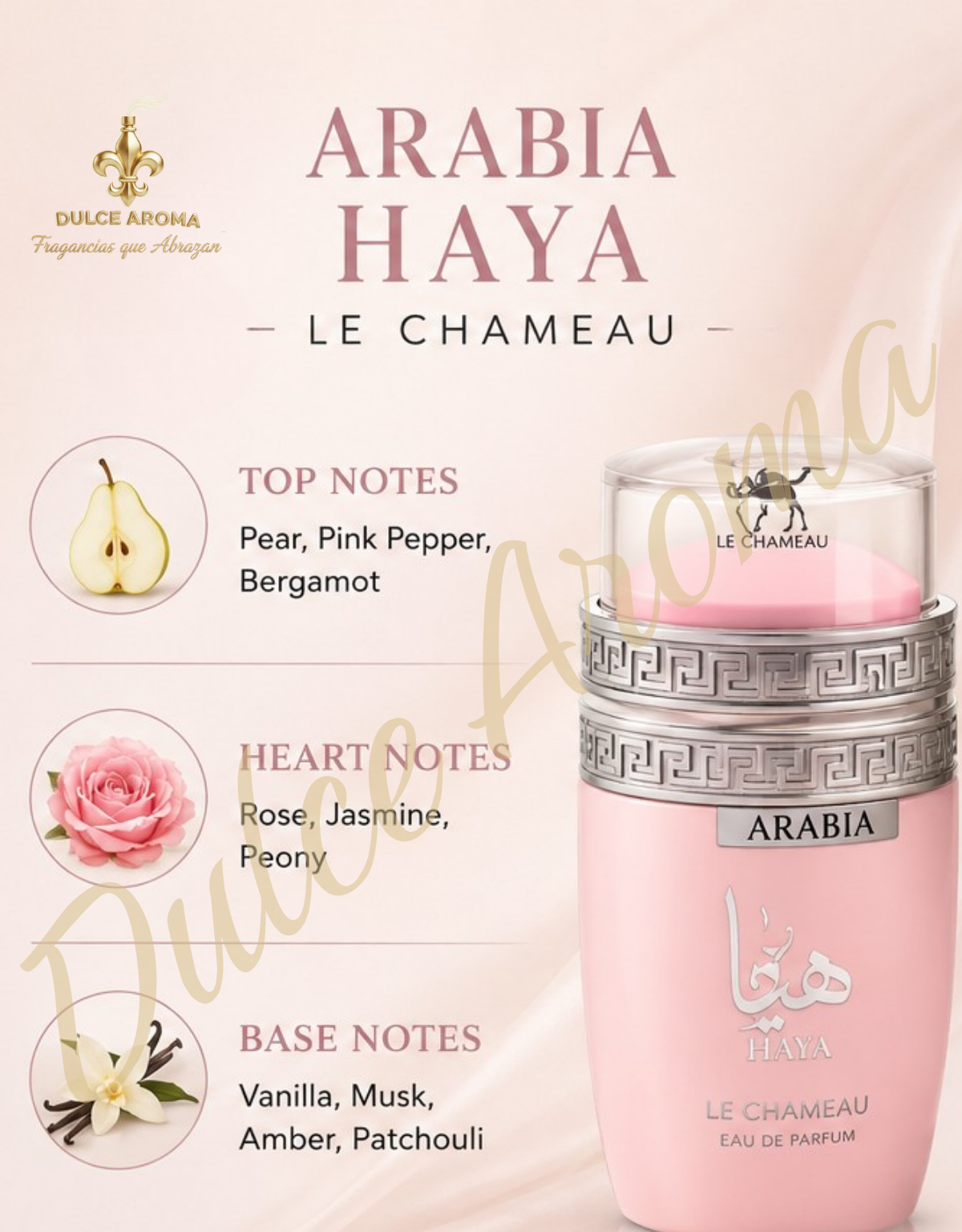Arabia Haya by Le Chameau