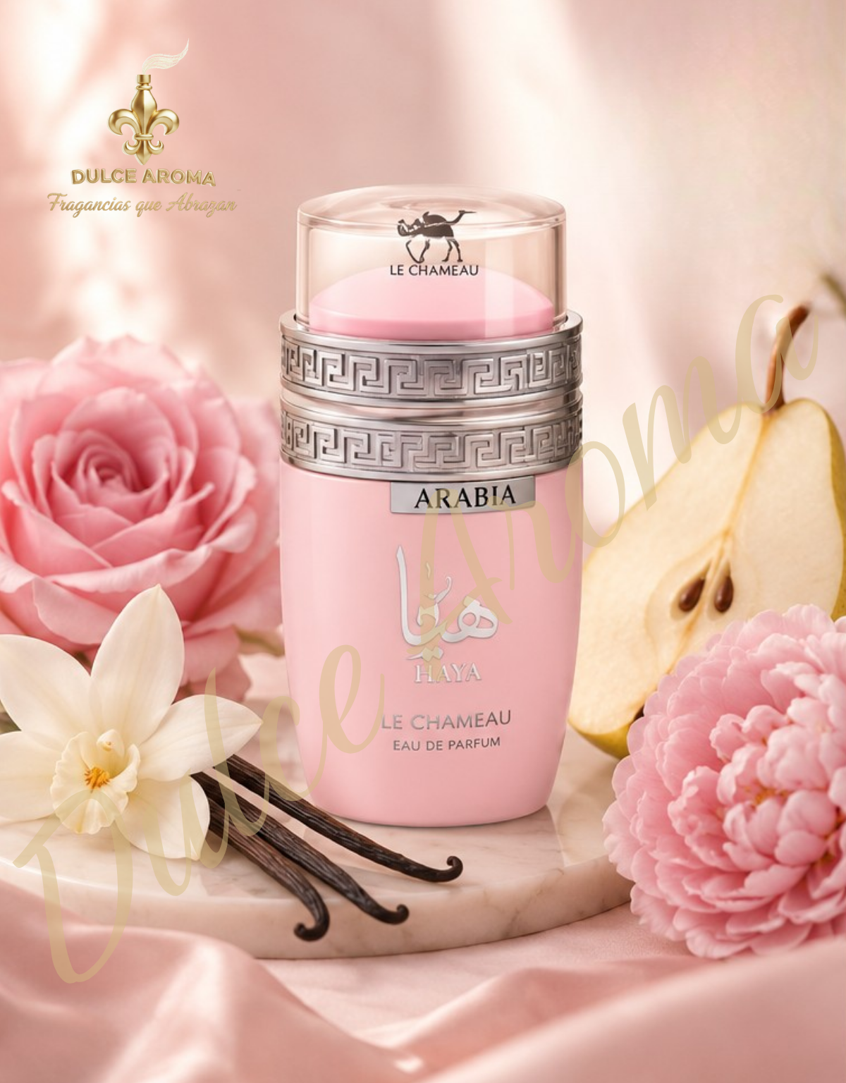Arabia Haya by Le Chameau